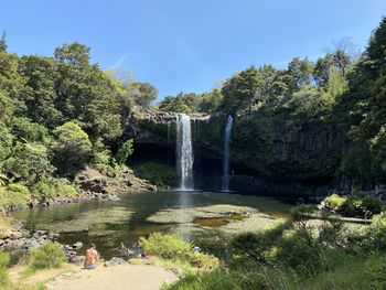 Scenic view of waterfall in forest