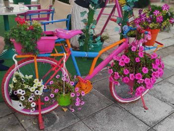 Close-up of flower pot on footpath