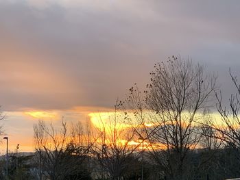 Silhouette plants against sky during sunset