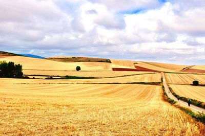 Hay bales on field against sky