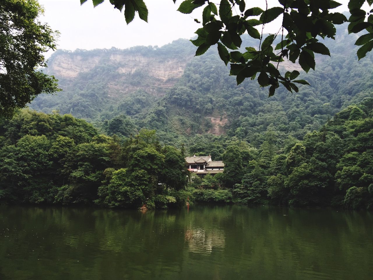 tree, water, lake, tranquil scene, tranquility, mountain, scenics, waterfront, green color, beauty in nature, nature, forest, reflection, lush foliage, growth, river, idyllic, non-urban scene, day, sky