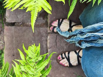 Low section of woman standing amidst plants