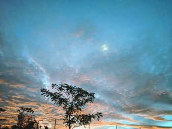 Low angle view of silhouette tree against sky during sunset