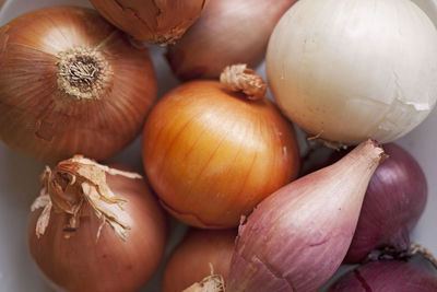 High angle view of pumpkins