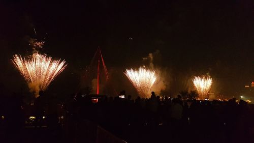 Firework display at night