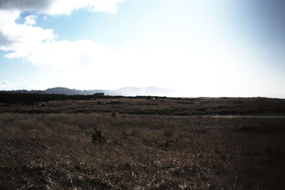 View of landscape against sky