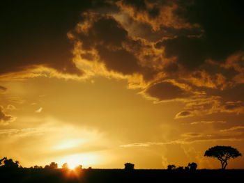 Low angle view of silhouette trees against sky during sunset