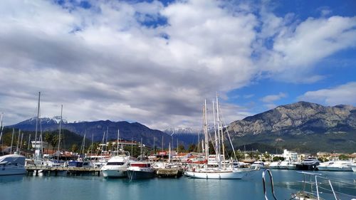 Sailboats moored in harbor against sky