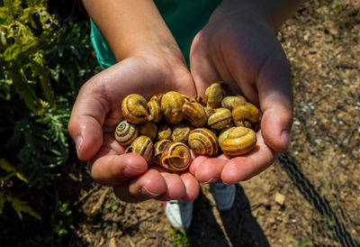 Close-up of person holding hands