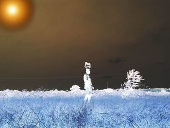 Snow on illuminated tree against sky during winter