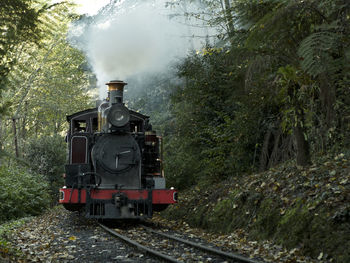 Train on railroad track amidst trees