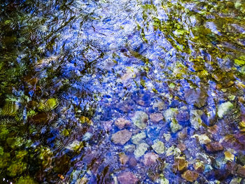 Low angle view of water drops on tree trunk