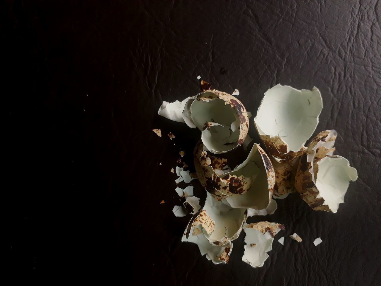 HIGH ANGLE VIEW OF WHITE ROSE ON TABLE AGAINST WALL