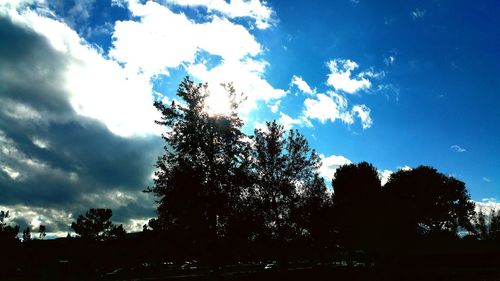 Silhouette of trees against cloudy sky