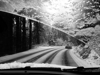 Road passing through a forest