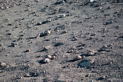 Full frame shot of sand