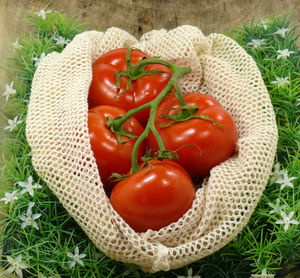 High angle view of tomatoes in container