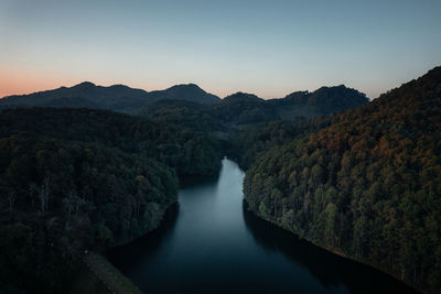 Idyllic view of river amidst forest against clear sky