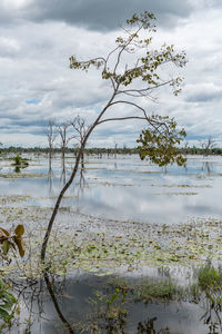 Scenic view of lake against sky