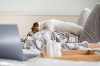 Dog sleeping on woman at home