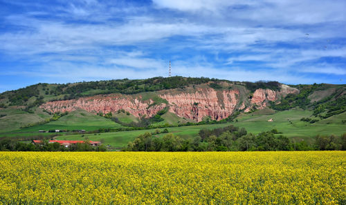Scenic view of field against cloudy sky