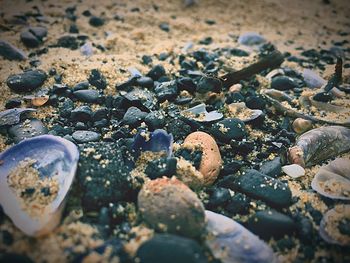 High angle view of stones on beach