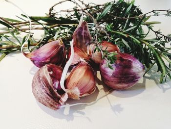 Close-up of vegetables on table