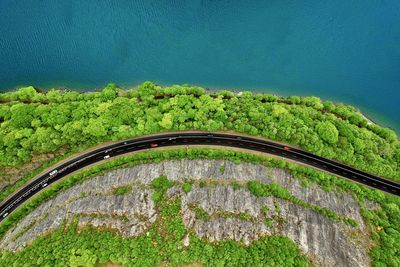 High angle view of green landscape