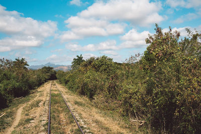 Dirt road amidst trees against sky