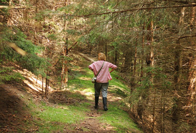 Rear view of man walking in forest