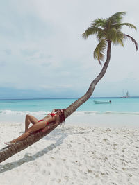 Scenic view of palm tree on beach against sky