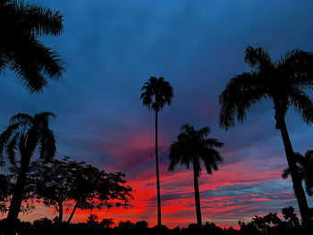 Low angle view of silhouette palm trees against romantic sky