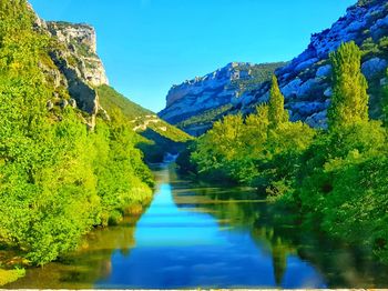 Scenic view of river amidst trees in forest against clear blue sky