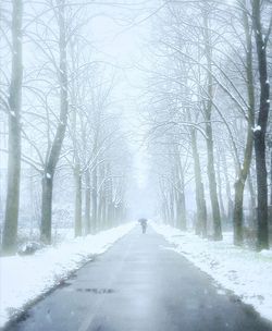 Road amidst bare trees during winter