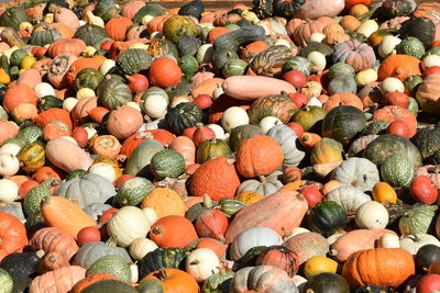 Full frame shot of pumpkins