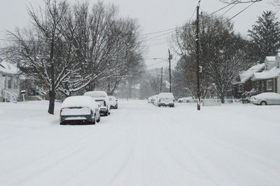 Cars on snow covered trees during winter