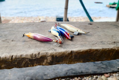 Fishing tackles on bench at beach