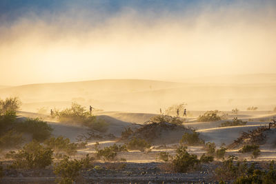 Sunset sandstorm