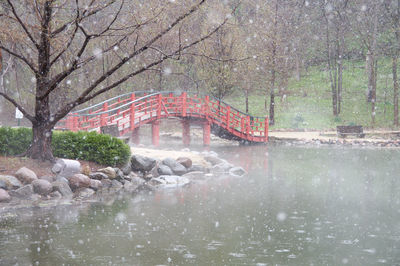 Trees by lake against building during winter