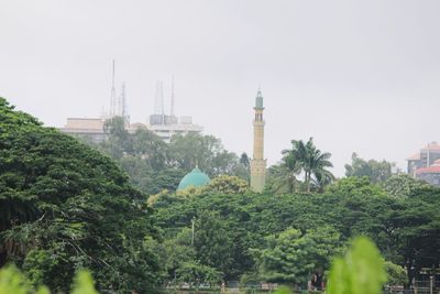 Trees and tower against sky