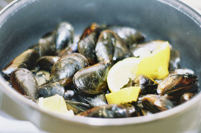 Close-up of oysters in plate