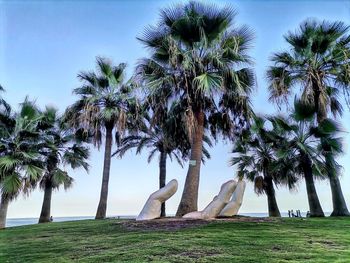 Palm trees on beach against clear sky