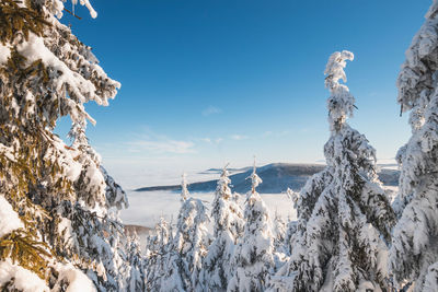 Panoramic view of snowcapped mountains against sky