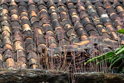 Full frame shot of roof of building