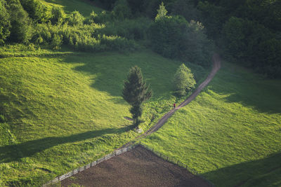 High angle view of road amidst trees