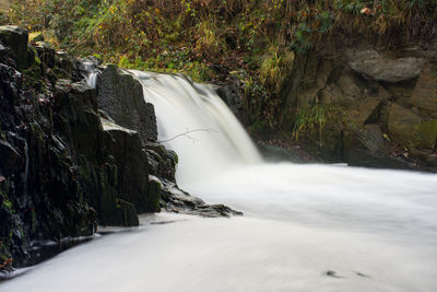 Scenic view of waterfall in forest