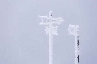 Snow covered signs against clear sky