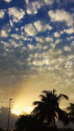 Silhouette of trees against cloudy sky