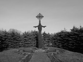 Low angle view of tree against the sky