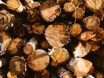 Full frame shot of logs